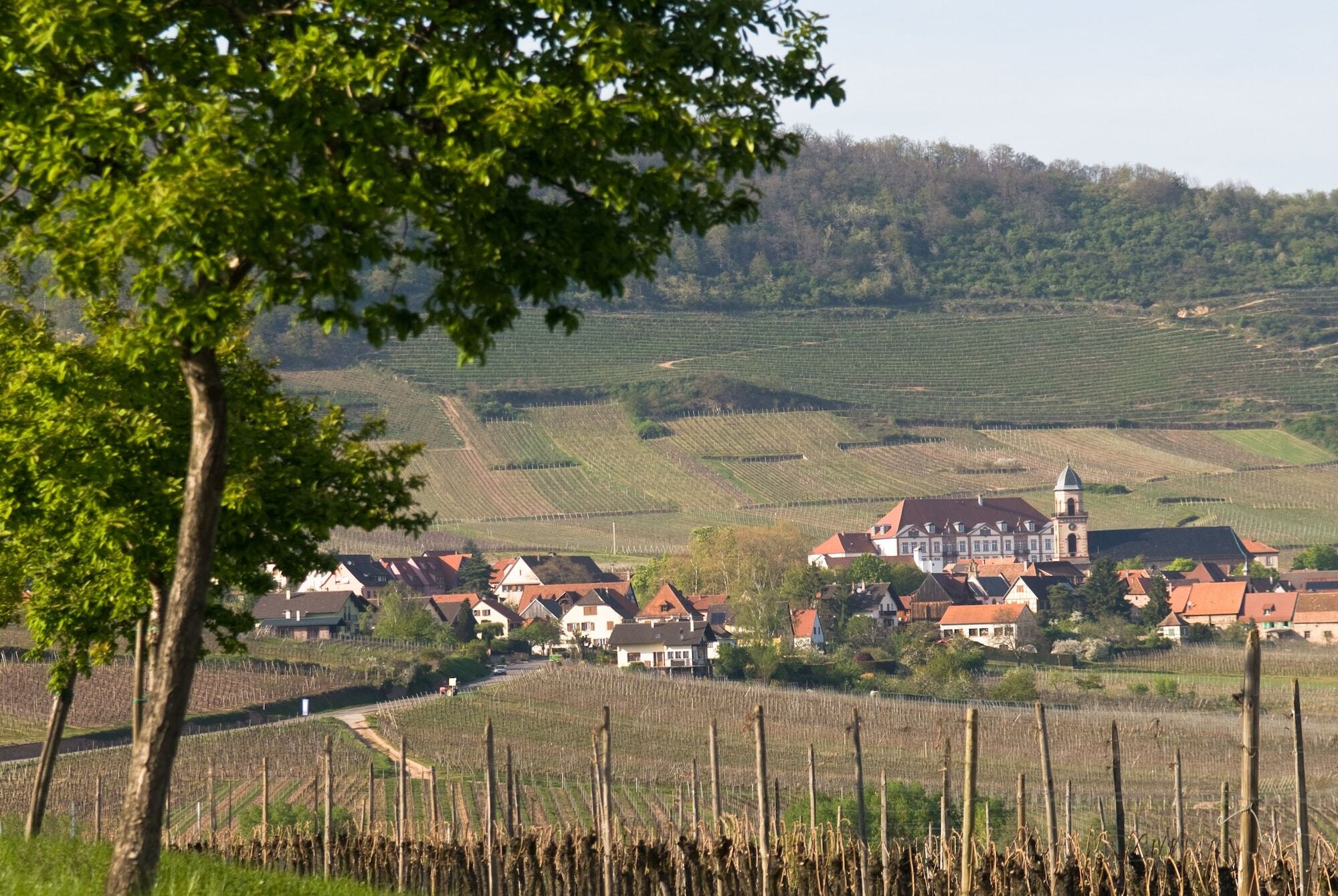 Hotel Val-Vignes Colmar Haut-Koenigsbourg, The Originals Relais Сент-Іпполіт Екстер'єр фото